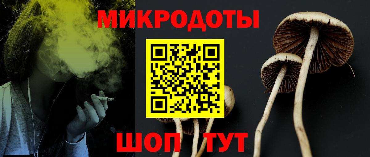Воронеж  Псилоцибиновые грибы MAGIC MUSHROOMS  Вход с VPN 